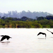 Parque Estadual Delta do Jacuí - Sema - Secretaria do Meio Ambiente e ...