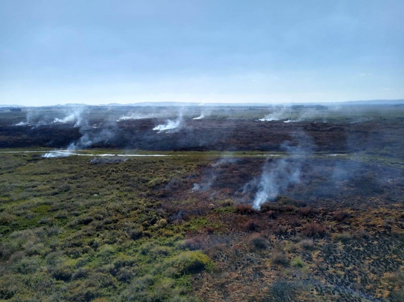 Fazenda Quatro Irmãos em 21 de abril.