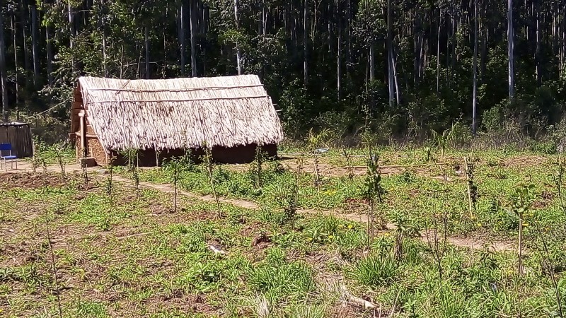 Com a compensação foi possível construir áreas como quintais agroflorestais ao redor das casas, conexão de fragmentos florestais