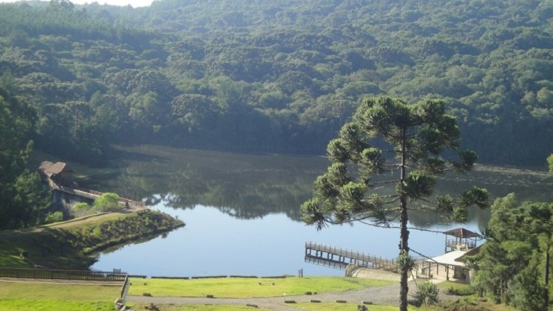 foto PNM Pinheiros