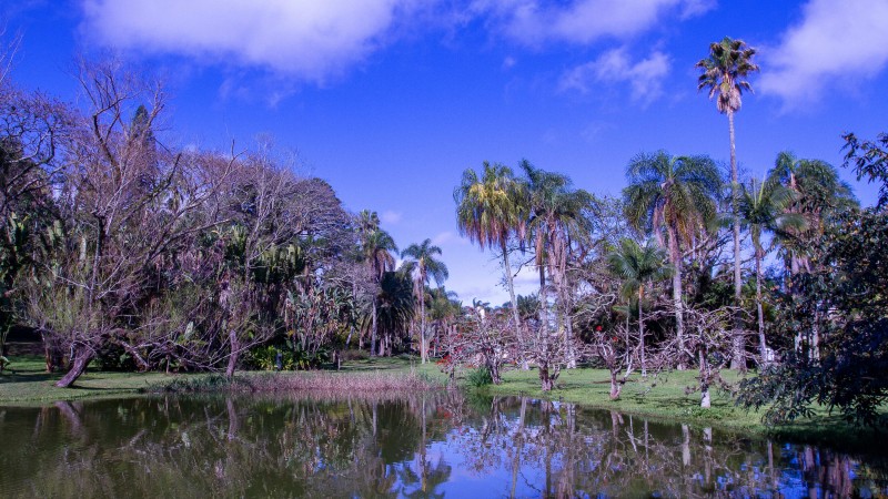 Jardim Botânico de Porto Alegre