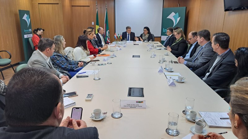 Reunião teve como objetivo dar continuidade à aproximação entre o RS e a Holanda pensando na transição energética.