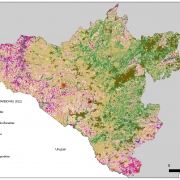 Mapa com a região o do PAT com cores das diferentes ocupações do solo (campos, florestas, agricyultura, etc)