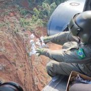 Imagem aérea de um homem do exército uniformizado e de capacete, jogando as bombas de sementes em área sem vegetação