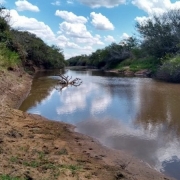 Divulgado Boletim Especial sobre Estiagem no RS, com dados atualizados