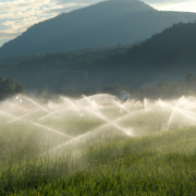 imagem de uma lavoura, com montanhas verdes ao fundo, contra o sol, e aparelhos de irrigação ligados, molhando o plantio.