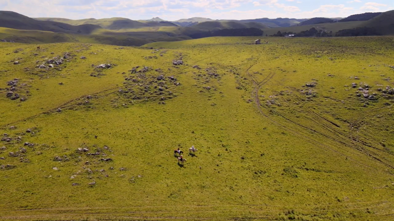 Área do pampa vista de cima mostrando um grande espaço de campo nativo.