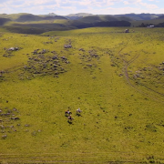 Área do pampa vista de cima mostrando um grande espaço de campo nativo.