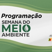 Ilustração em tons de verde e com texto: Programação Semana do Meio Ambiente