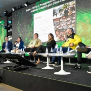 imagem mostra um palco, secretaria marjorie no palco falando, ao lado de outros convidados. ao fundo, um painel de led