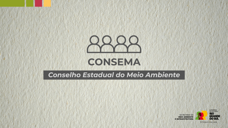 Arte gráfica com o nome do Consema