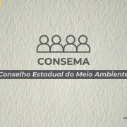 Arte gráfica com o nome do Consema