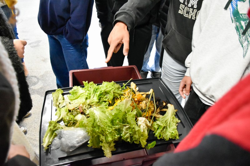 residuos organicos espalhados em uma mesa onde os estudantes realizaram a separação do material que estava misturado a outros componentes não organicos.