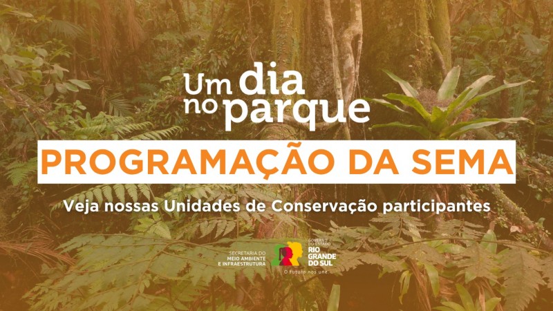 card de divulga&ccedil;&atilde;o do evento um dia no parque.