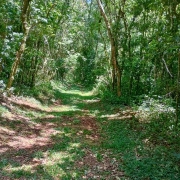 resized Trilha20PEPC jpg jpeg