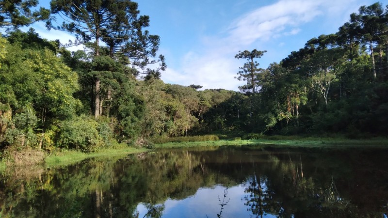 &aacute;rea do parque.