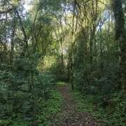 Trilha interna