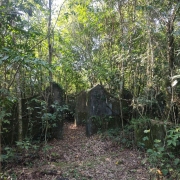 Trilha interna