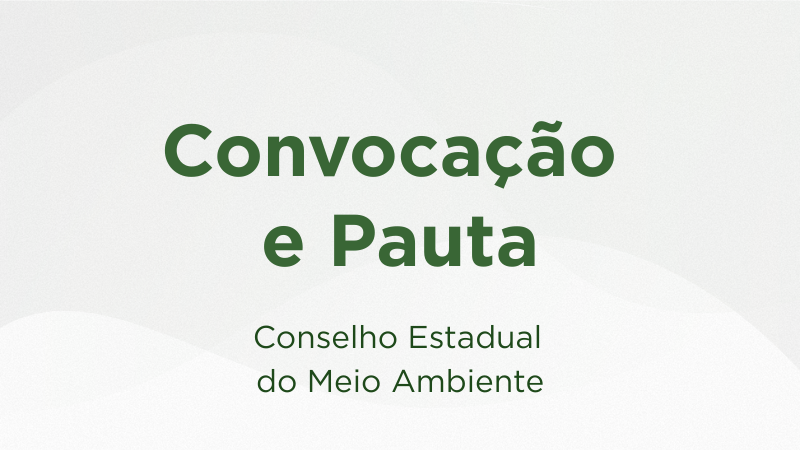 Conselho Gestor do FEMA