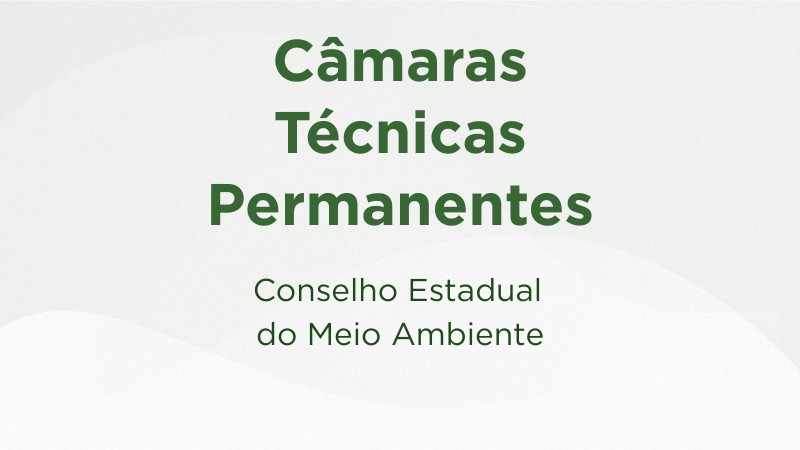 Conselho Gestor do FEMA (8)