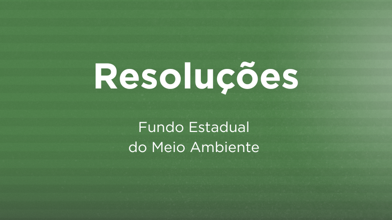 Conselho Gestor do FEMA (12)