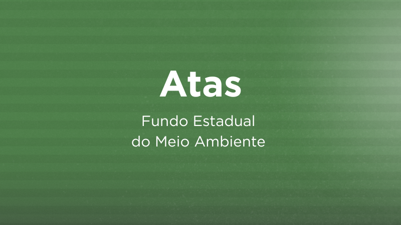 Conselho Gestor do FEMA (13)