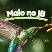 Maio com atividades especiais celebra a biodiversidade no Jardim Bot&acirc;nico de Porto Alegre
